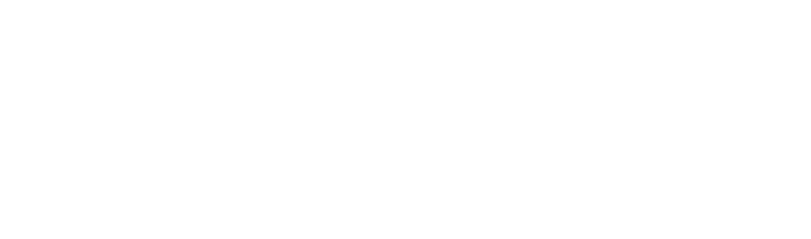 Vive y Ve — Agencia de Viajes